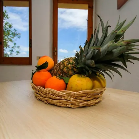 Aparthotel Calavà
